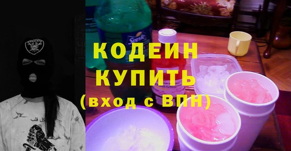 мдпв Елабуга