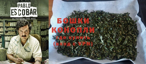 гашик Елизово
