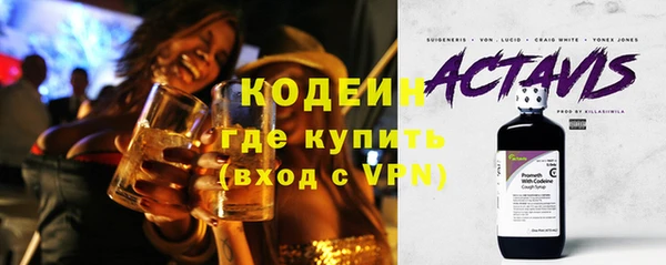 мдпв Елабуга