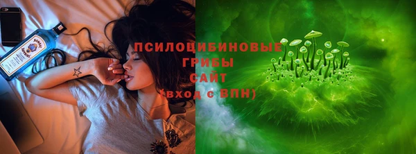 гашик Елизово