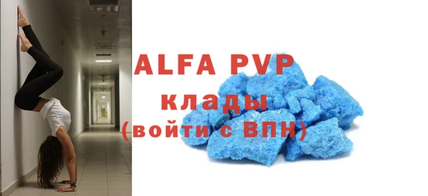 мдпв Елабуга