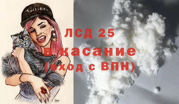 гашик Елизово
