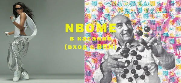 гашик Елизово