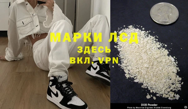 гашик Елизово