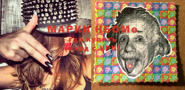 мдпв Елабуга