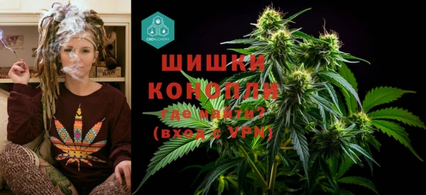 гашик Елизово