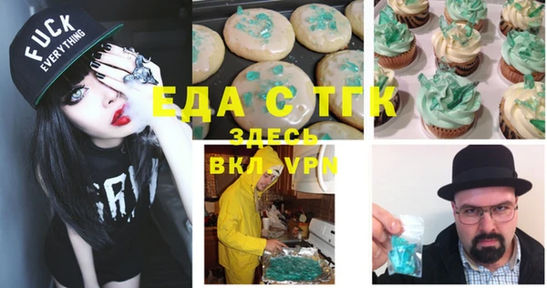 мдпв Елабуга
