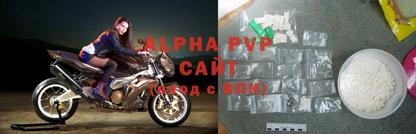 гашик Елизово
