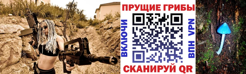 Псилоцибиновые грибы ЛСД  Купить закладки  Назарово 